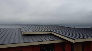 Fast & Reliable Emergency Roof Repairs in Dash Point, WA